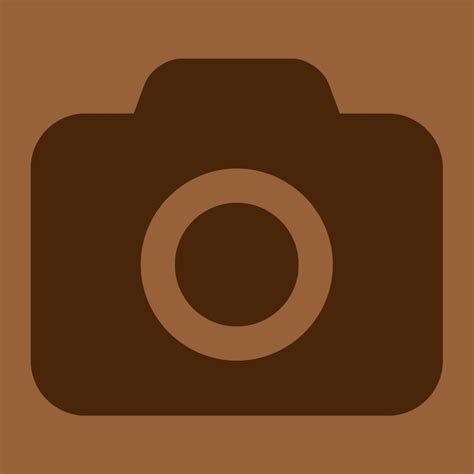 camera icon aesthetic brown.